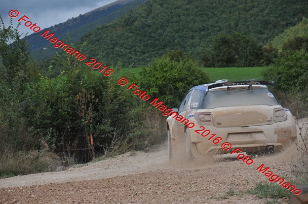 DSC_6438.JPG